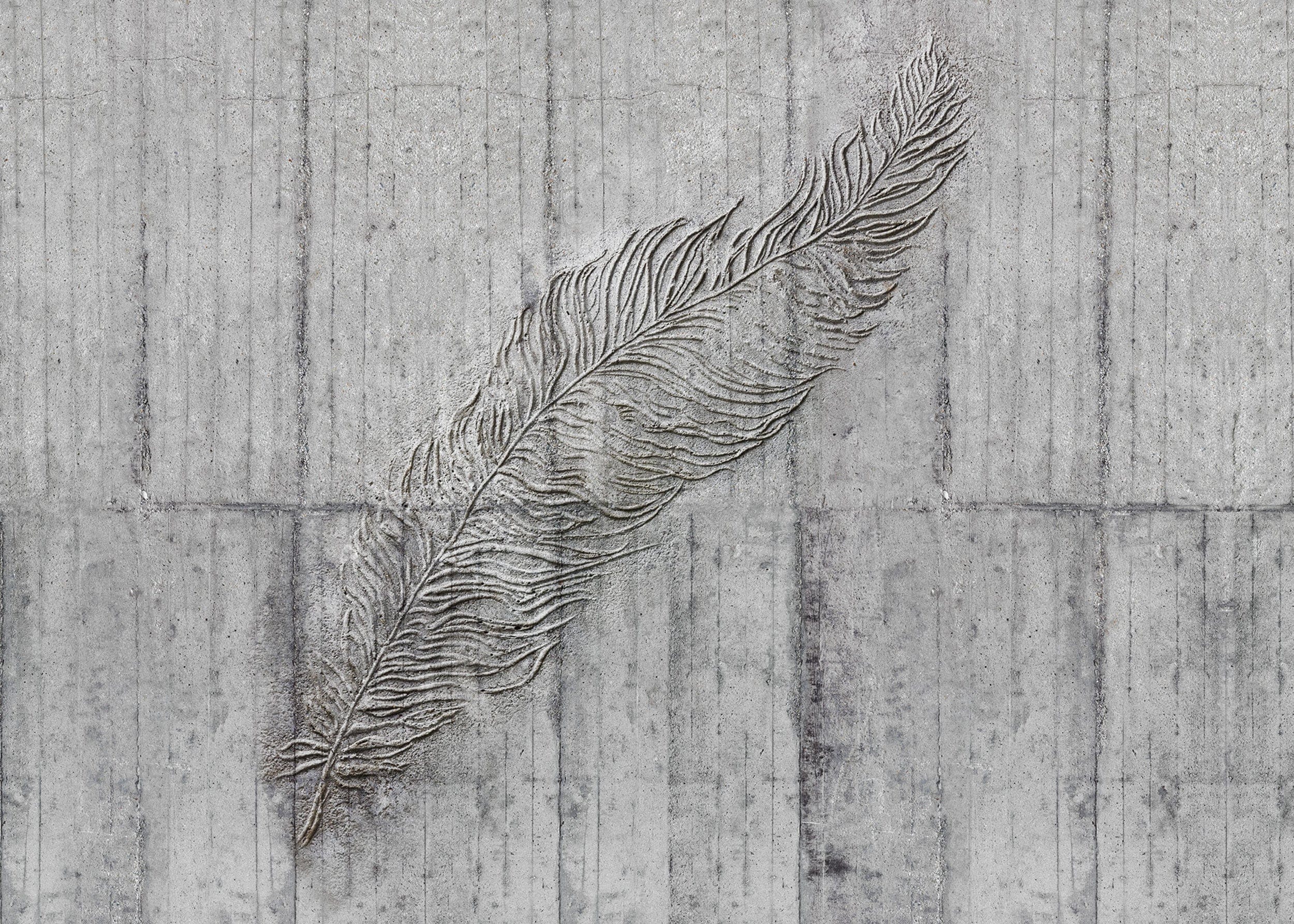 Komar Non Woven Wall Mural X7 1023 Concrete Feather | Yourdecoration.com