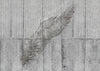 Komar Non Woven Wall Mural X7 1023 Concrete Feather | Yourdecoration.com