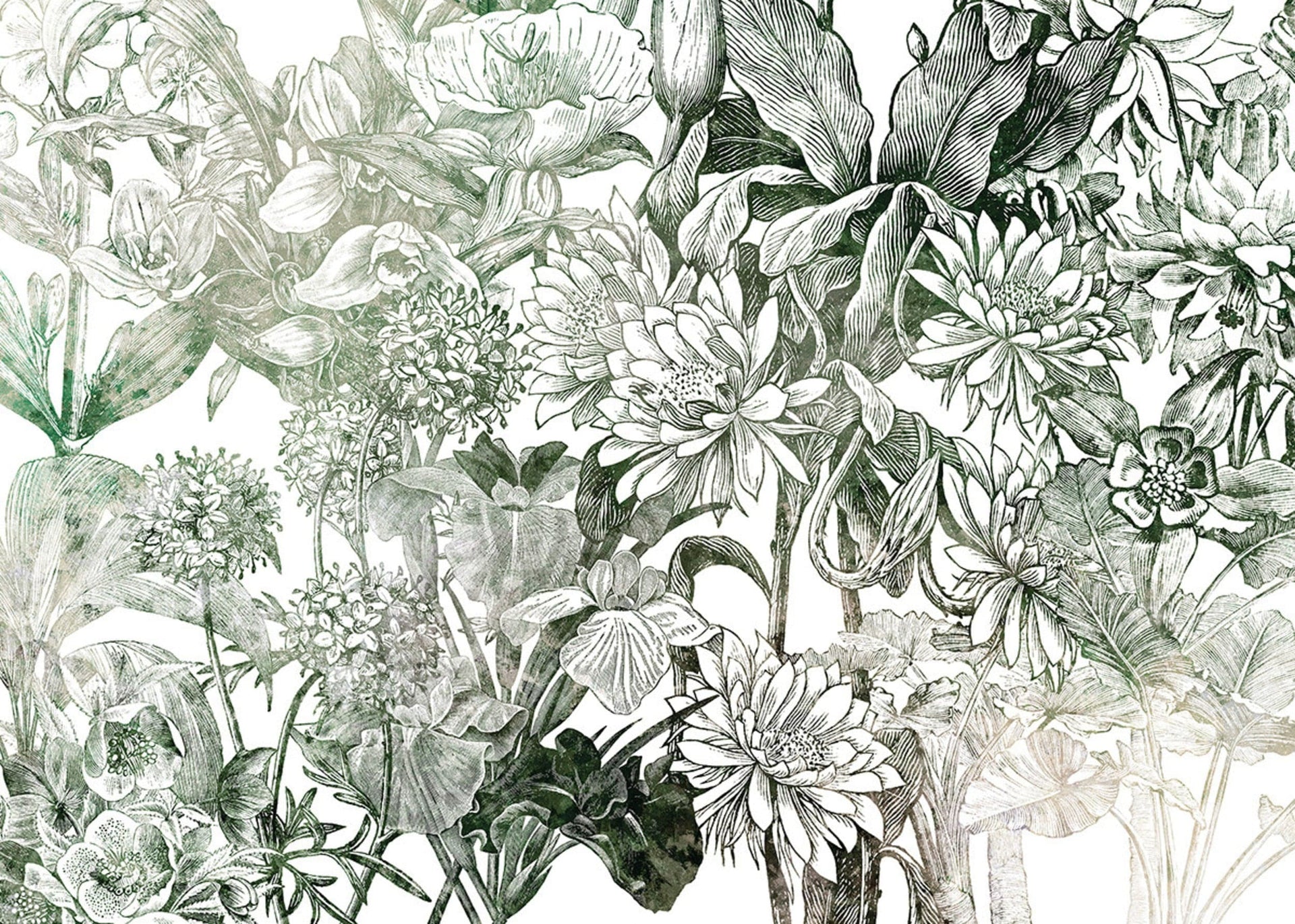 Komar Non Woven Wall Mural X7 1045 Valerie | Yourdecoration.com