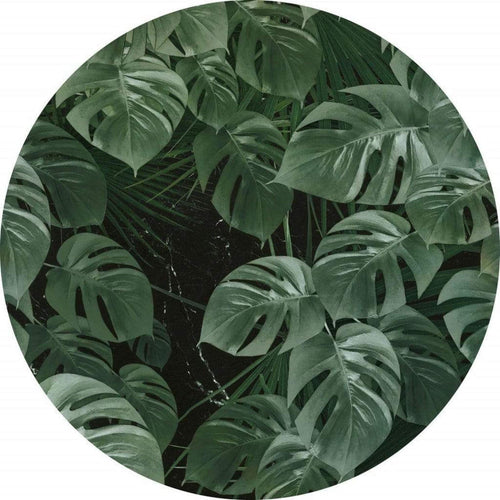 Komar Novel Monstera Wall Mural 125x125cm Round | Yourdecoration.com