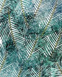 Komar Palm Canopy Non Woven Wall Mural 200x250cm 2 Panels | Yourdecoration.com