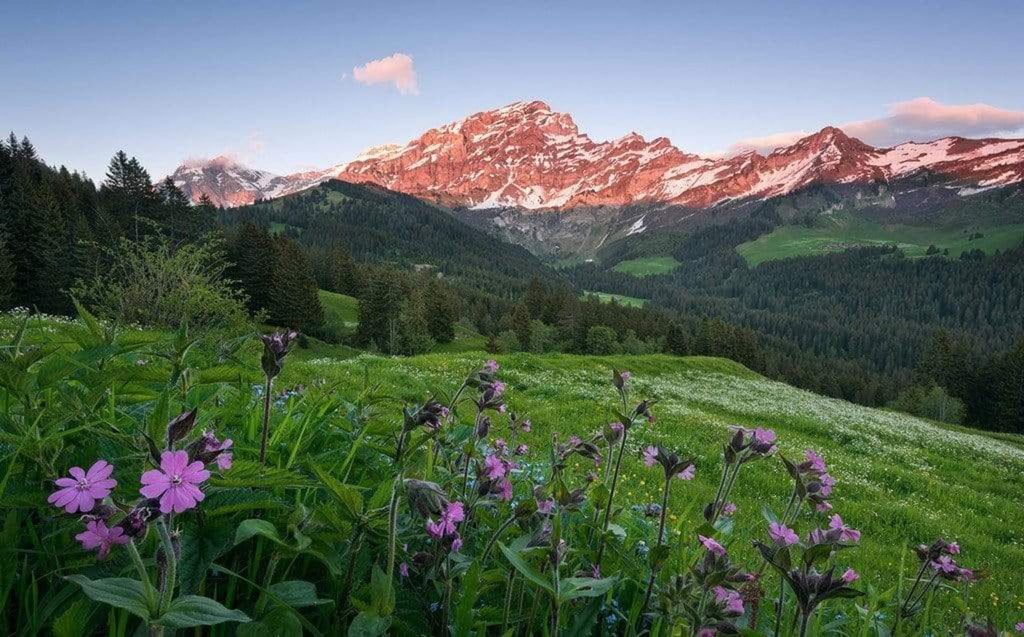 Komar Picturesque Switzerland Non Woven Wall Mural 450x280cm 9 Panels | Yourdecoration.com
