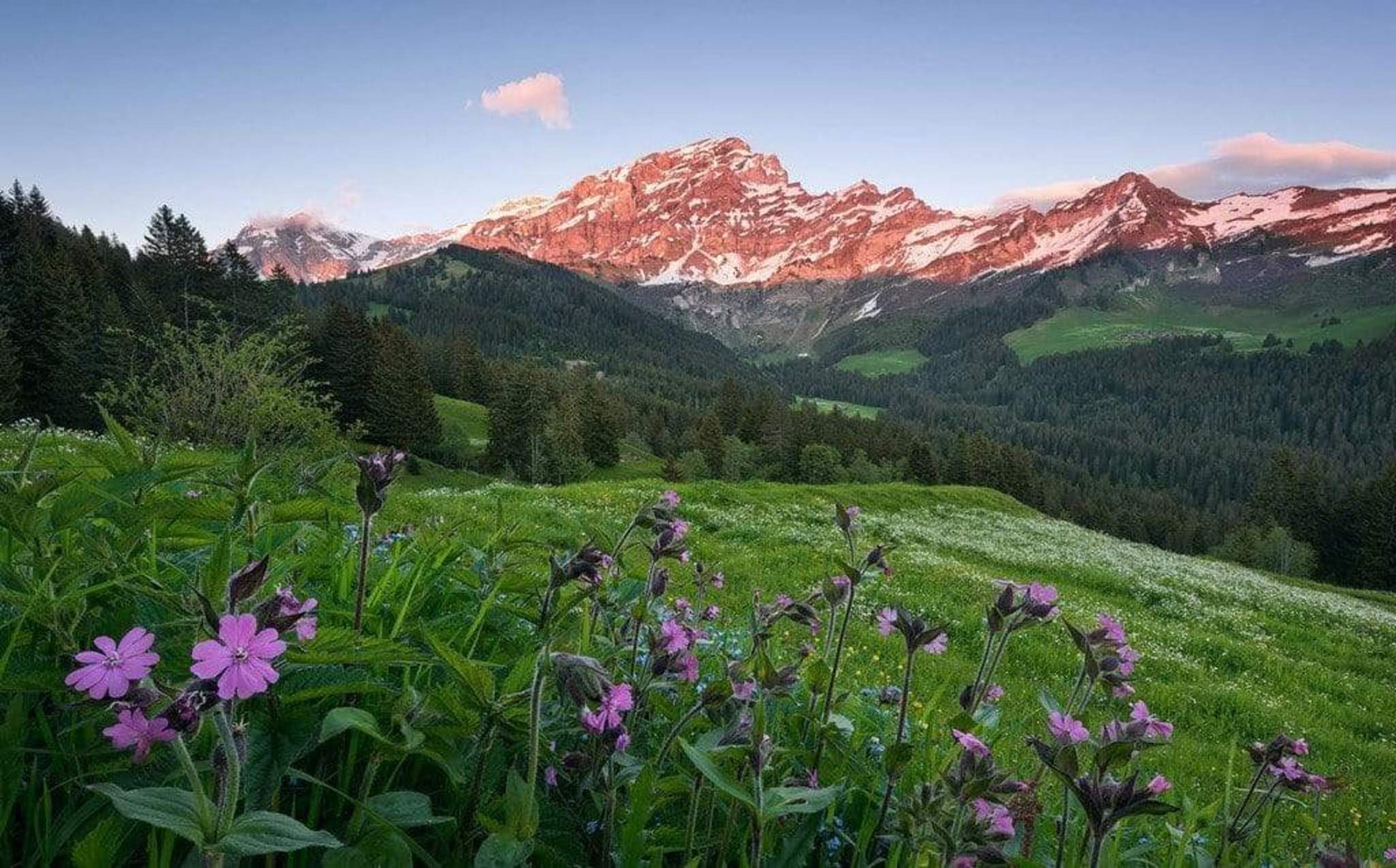 Komar Picturesque Switzerland Non Woven Wall Mural 450x280cm 9 Panels | Yourdecoration.com