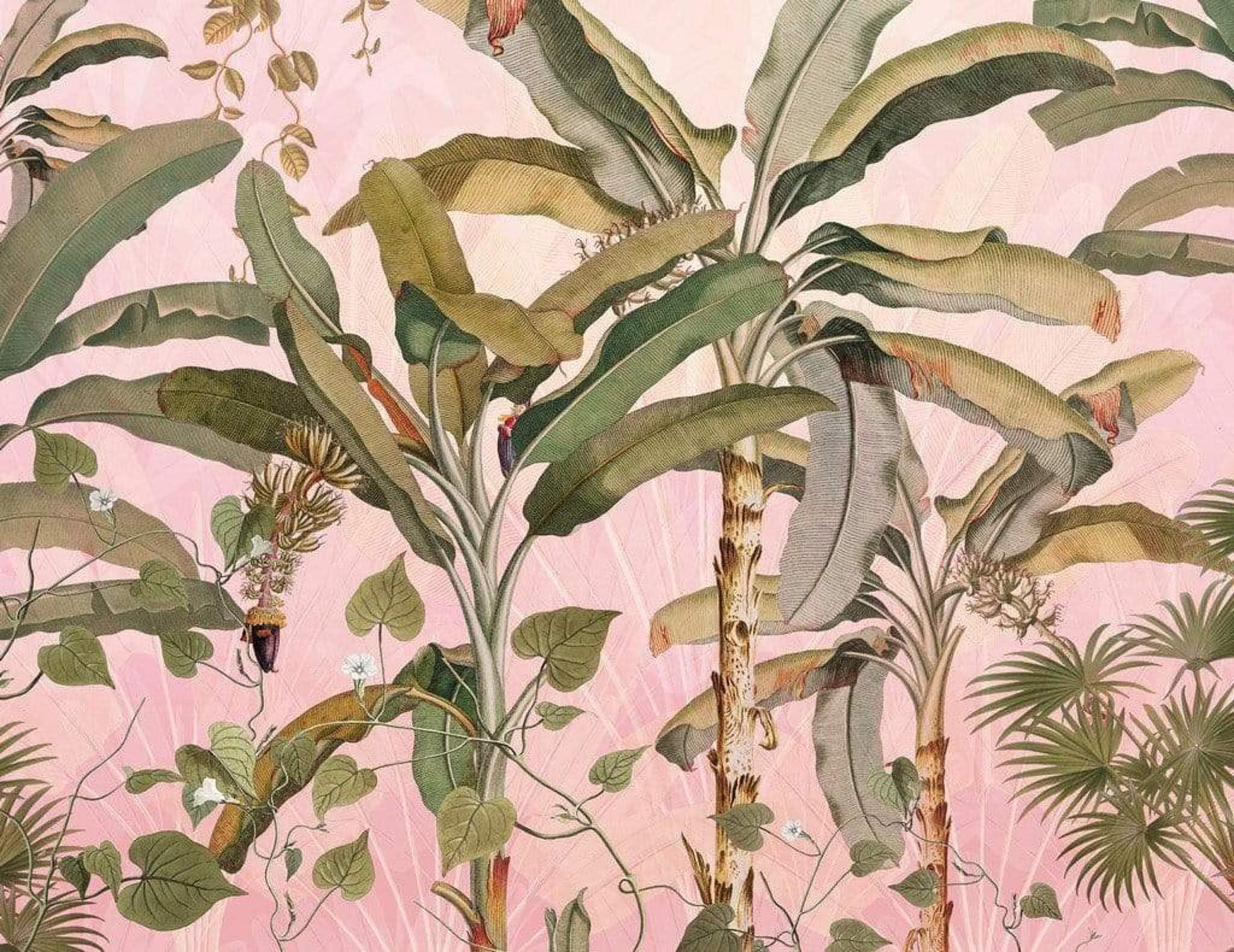 Komar Plantation Non Woven Wall Mural 350x270cm 7 Panels | Yourdecoration.com
