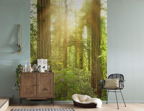 Komar Redwood Non Woven Wall Mural 200x250cm 2 Panels Ambiance | Yourdecoration.com