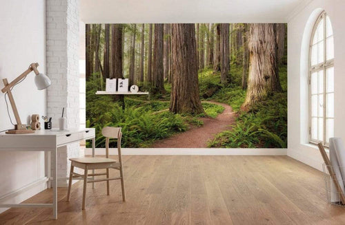 Komar Redwood Trail Non Woven Wall Mural 450x280cm 9 Panels Ambiance | Yourdecoration.com