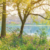 Komar Spring Lake Wall Mural National Geographic 368x254cm | Yourdecoration.com