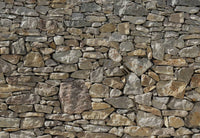 Komar Stone Wall Wall Mural 368x254cm | Yourdecoration.com