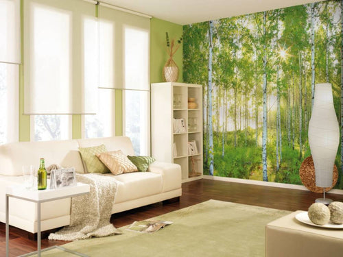 Komar Sunday Non Woven Wall Mural National Geographic 368x248cm | Yourdecoration.com