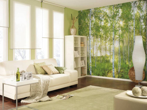Komar Sunday Wall Mural National Geographic 368x254cm | Yourdecoration.com