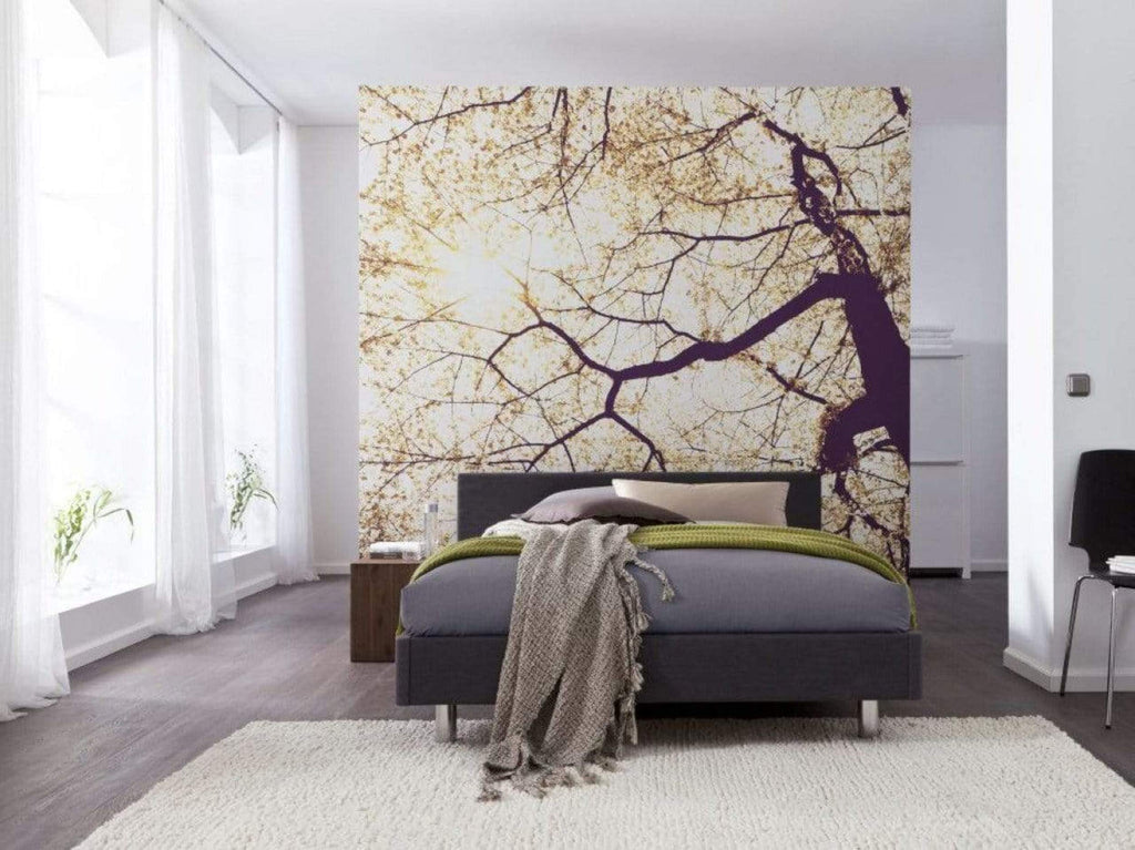 Komar Sunshine Wall Mural 250x250cm 5 Panels Ambiance | Yourdecoration.com