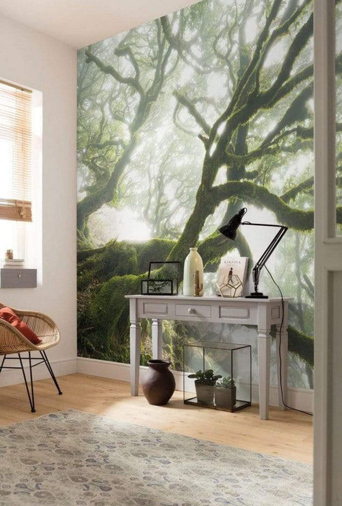 Komar The Forgotten Forest Non Woven Wall Mural 400x250cm 4 Panels Ambiance | Yourdecoration.com