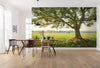 Komar The Magic Tree Non Woven Wall Mural 450x280cm 9 Panels Ambiance | Yourdecoration.com
