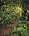 Komar The Path Non Woven Wall Mural 200x250cm 2 Panels | Yourdecoration.com