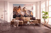 Komar Torres del Paine Wall Mural National Geographic 254x184cm | Yourdecoration.com