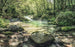 Komar Tranquil Pool Non Woven Wall Mural 400x250cm 4 Panels | Yourdecoration.com