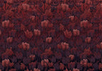 Komar Tulipe Non Woven Wall Mural 400x280cm 8 Panels | Yourdecoration.com
