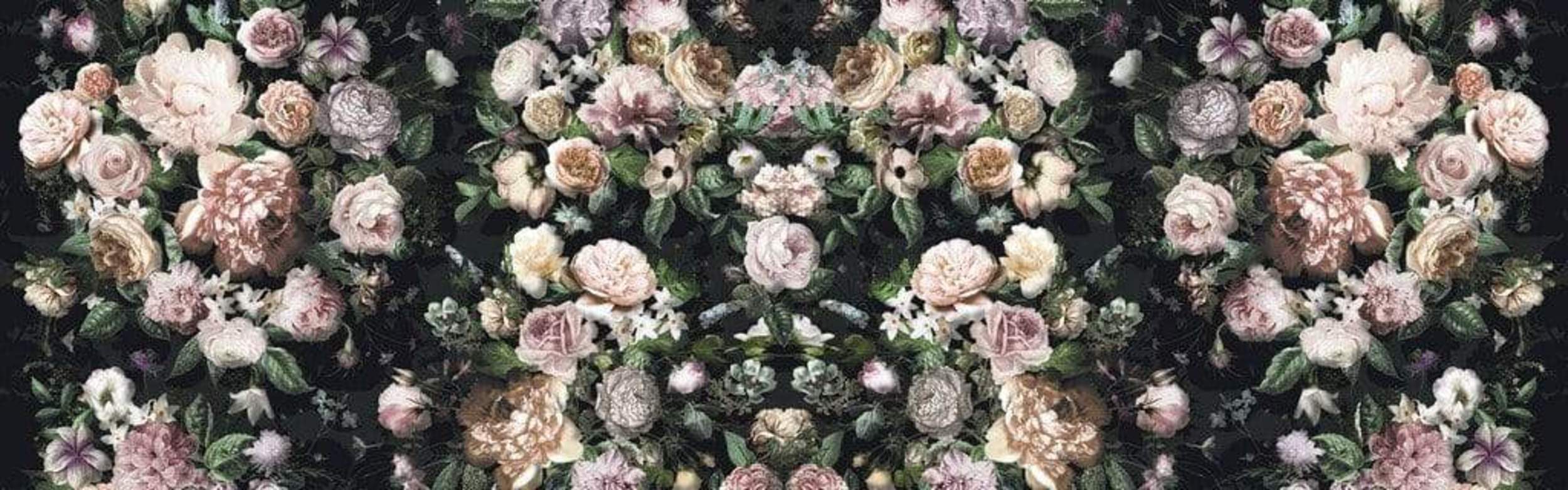 Komar Victoria Black Non Woven Wall Mural 800x250cm 8 Panels | Yourdecoration.com