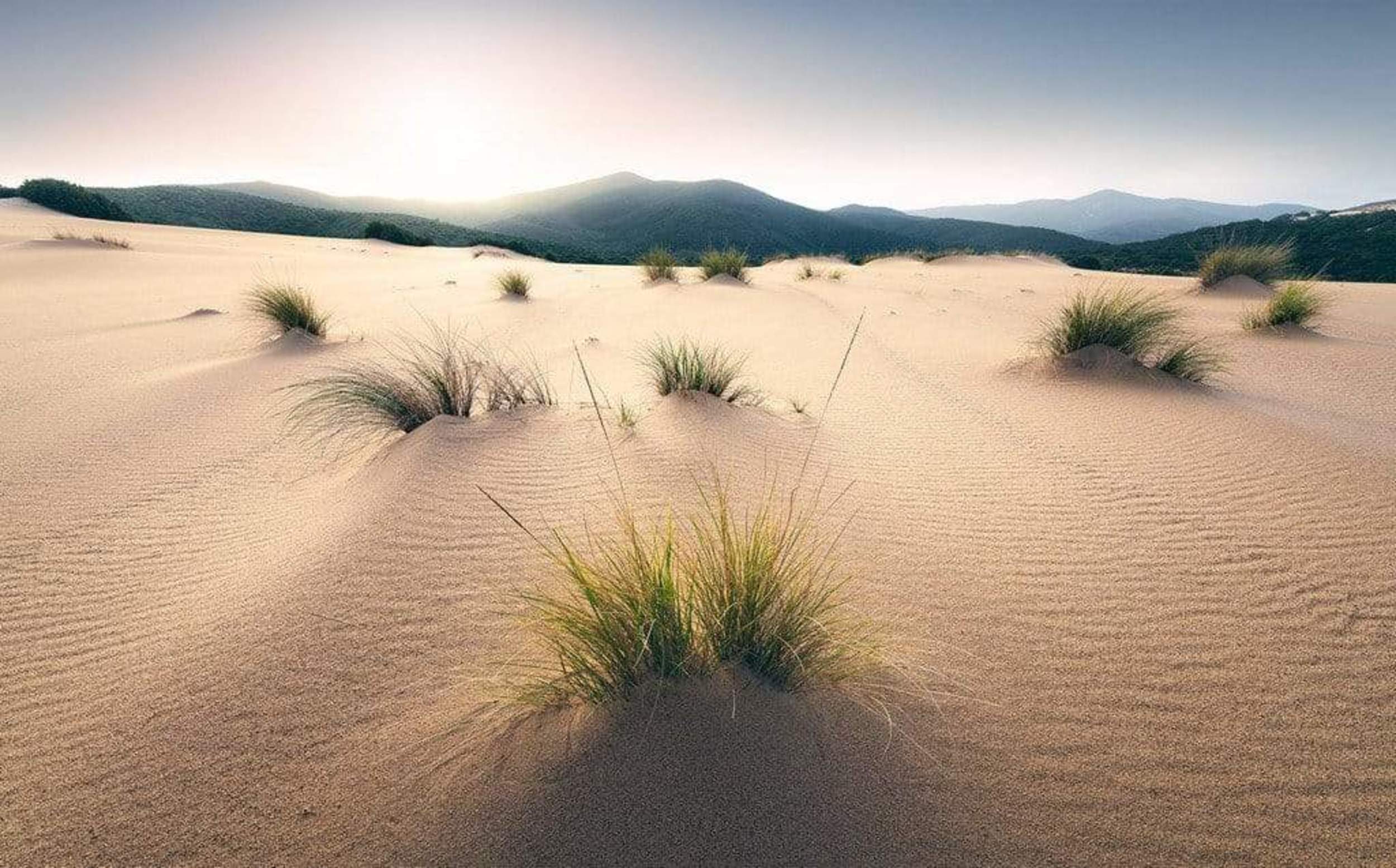 Komar Vivid Dunes Non Woven Wall Mural 450x280cm 9 Panels | Yourdecoration.com