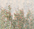 Komar Wall Roses Non Woven Wall Murals 300x250cm 6 panels | Yourdecoration.com