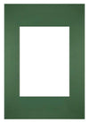 Passe Partout 21x297cm Carton Green Forest Edge Straight Front | Yourdecoration.com