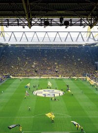 Wizard+Genius BVB Fan Choreo Non Woven Wall Mural 192x260cm 4 Panels | Yourdecoration.com