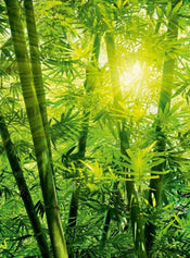 Wizard+Genius Bamboo Forest Non Woven Wall Mural 192x260cm 4 Panels | Yourdecoration.com