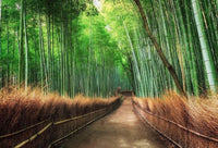 Wizard+Genius Bamboo Grove Kyoto Non Woven Wall Mural 384x260cm 8 Panels | Yourdecoration.com