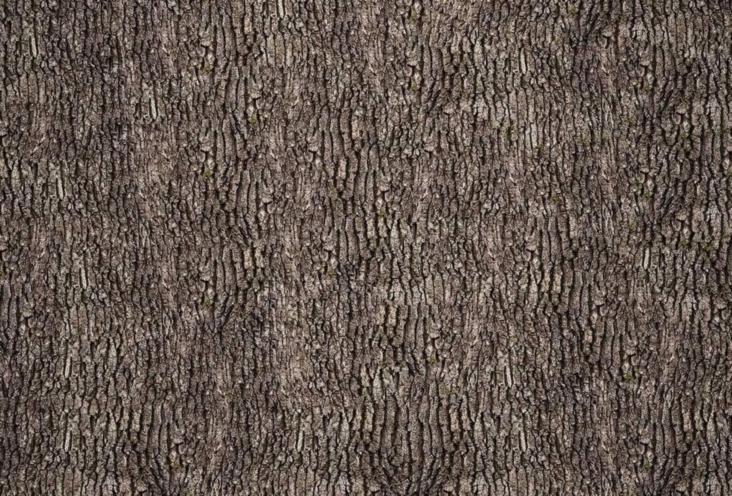 Wizard+Genius Bark Wall Non Woven Wall Mural 384x260cm 8 Panels | Yourdecoration.com