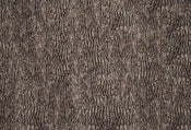 Wizard+Genius Bark Wall Non Woven Wall Mural 384x260cm 8 Panels | Yourdecoration.com