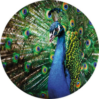 Wizard+Genius Beautiful Peacock Non Woven Wall Mural 140x140cm Round | Yourdecoration.com
