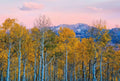 Wizard+Genius Birches and Mountains Non Woven Wall Mural 384x260cm 8 Panels | Yourdecoration.com