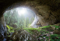 Wizard+Genius Cave In The Forest Non Woven Wall Mural 384x260cm 8 Panels | Yourdecoration.com
