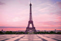 Wizard+Genius Eiffel Tower At Sunset Non Woven Wall Mural 384x260cm 8 Panels | Yourdecoration.com