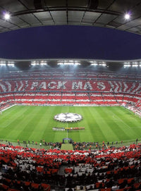 Wizard+Genius FCB Stadion Choreo Non Woven Wall Mural 192x260cm 4 Panels | Yourdecoration.com