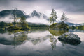 Wizard+Genius Foggy Day Non Woven Wall Mural 384x260cm 8 Panels | Yourdecoration.com