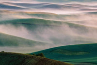 Wizard+Genius Foggy Hills I Non Woven Wall Mural 384x260cm 8 Panels | Yourdecoration.com