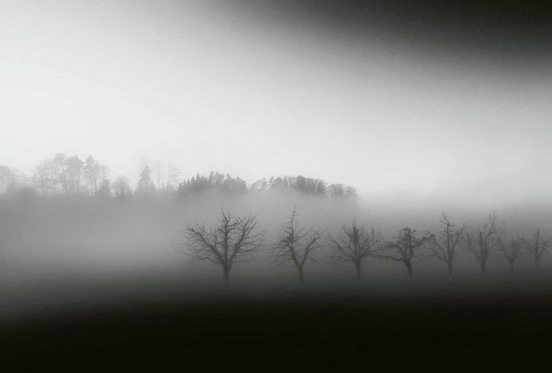 Wizard+Genius Foggy Landscape Non Woven Wall Mural 384x260cm 8 Panels | Yourdecoration.com