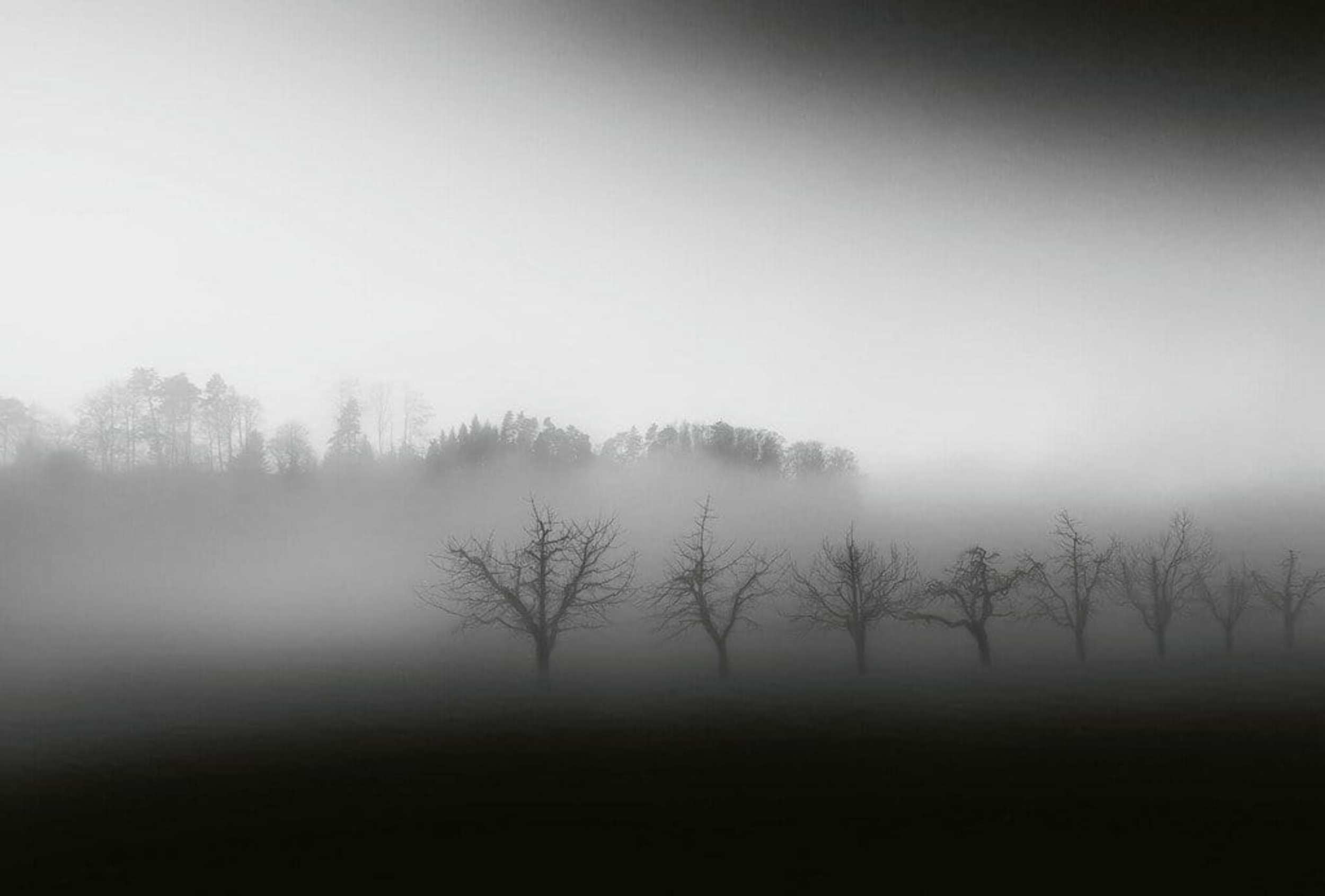 Wizard+Genius Foggy Landscape Non Woven Wall Mural 384x260cm 8 Panels | Yourdecoration.com