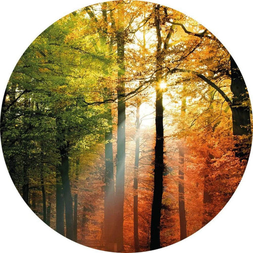 Wizard+Genius Golden Autumn Non Woven Wall Mural 140x140cm Round | Yourdecoration.com