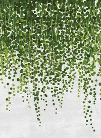 Wizard+Genius Hanging Plants Non Woven Wall Mural 192x260cm 4 Panels | Yourdecoration.com