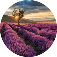 Wizard+Genius Lavender in the Provence Non Woven Wall Mural 140x140cm Round | Yourdecoration.com