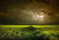 Wizard+Genius Lightning and Thunder Non Woven Wall Mural 384x260cm 8 Panels | Yourdecoration.com