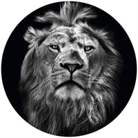 Wizard+Genius Lion Non Woven Wall Mural 140x140cm Round | Yourdecoration.com