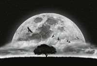 Wizard+Genius Moon and Birds Non Woven Wall Mural 384x260cm 8 Panels | Yourdecoration.com