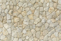 Wizard+Genius Natural Stone Wall II Non Woven Wall Mural 384x260cm 8 Panels | Yourdecoration.com