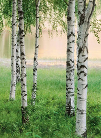 Wizard+Genius Nordic Forest Non Woven Wall Mural 192x260cm 4 Panels | Yourdecoration.com