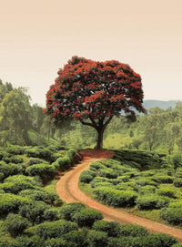 Wizard+Genius Red Tree And Hills In Sri Lanka Non Woven Wall Mural 192x260cm 4 Panels | Yourdecoration.com
