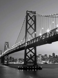 Wizard+Genius San Francisco Skyline Non Woven Wall Mural 192x260cm 4 Panels | Yourdecoration.com