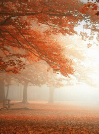 Wizard+Genius Sleeping Forest Non Woven Wall Mural 192x260cm 4 Panels | Yourdecoration.com